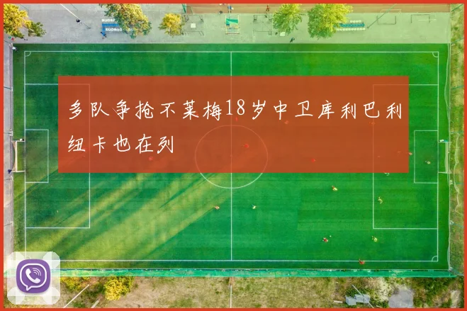 多队争抢不莱梅18岁中卫库利巴利纽卡也在列