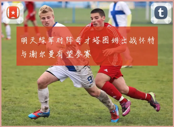 明天绿军对阵奇才塔图姆出战怀特与谢尔曼有望参赛